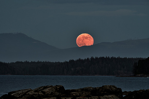 Moonrise Over Pacific Rim National Park Reserve