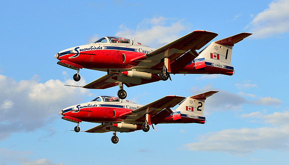 Snowbirds