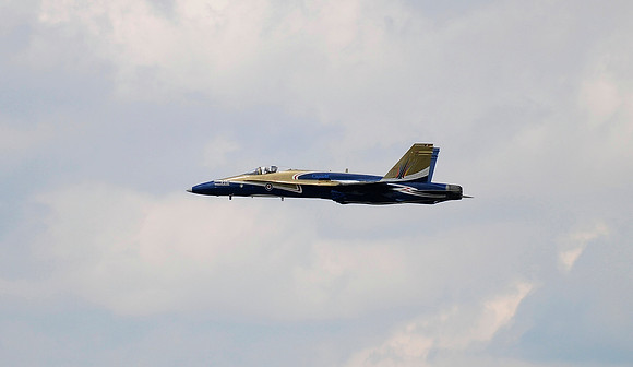 Hornet